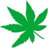 Szablon malarski marihuana trawka PX169 | Dekormania