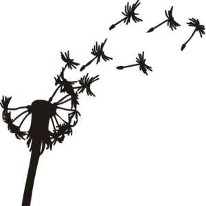 Naklejka dekoracyjna PX...