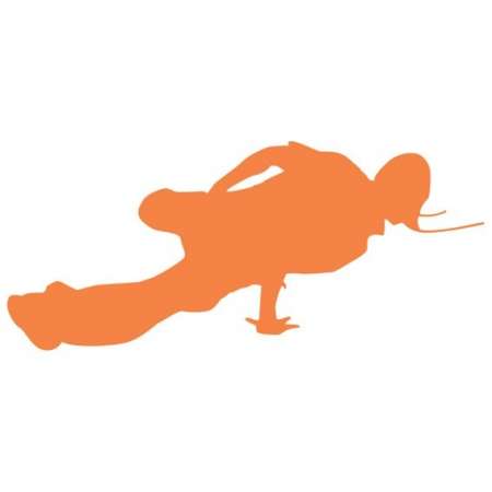 Szablon malarski PXD 13,...