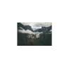 Fototapeta Las we mgle FT-11 90 x 60 cm | Dekormania