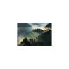 Fototapeta Las we mgle FT-13 90 x 60 cm | Dekormania