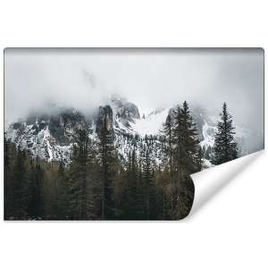 Fototapeta Las we mgle FT-16