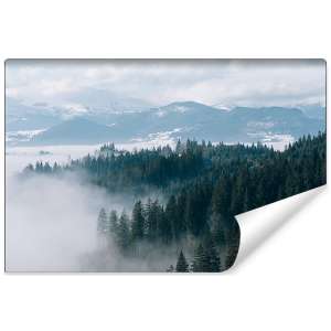 Fototapeta Las we mgle FT-20