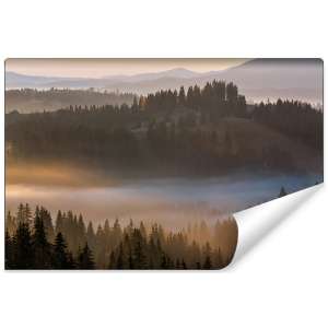 Fototapeta Las we mgle FT-23