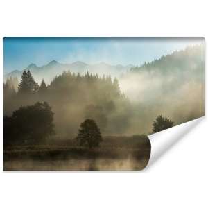 Fototapeta Las we mgle FT-26