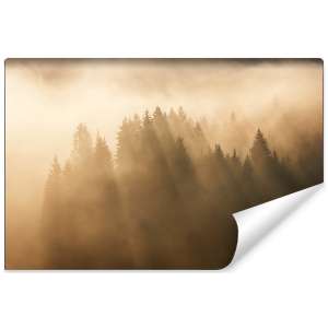 Fototapeta Las we mgle FT-27