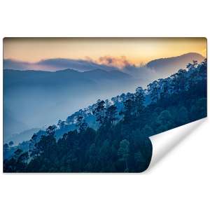 Fototapeta Las Góry FT-275