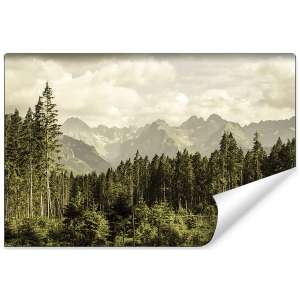 Fototapeta Las Góry FT-277