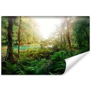 Fototapeta Las Drzewa Woda...