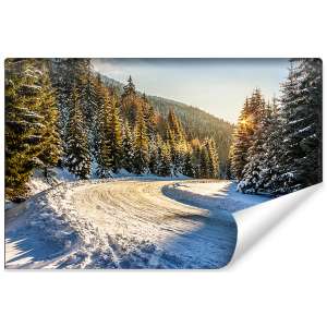 Fototapeta Zimowy Las FT-257