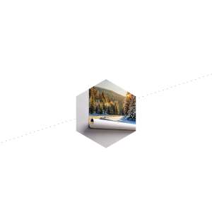 Fototapeta Zimowy Las