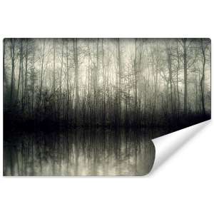 Fototapeta Las Drzewa Woda...