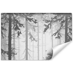 Fototapeta Las Drzewa FT-264