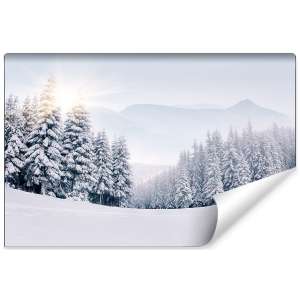 Fototapeta Zimowy Las FT-268