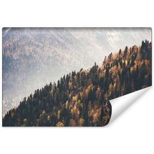 Fototapeta Las Góry FT-271