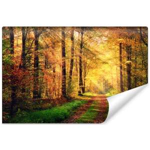 Fototapeta Las Barwy...