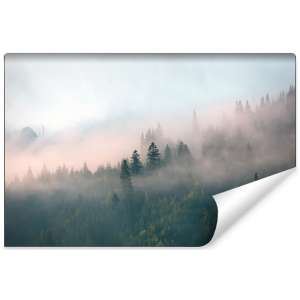 Fototapeta Las we mgle FT-453