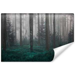 Fototapeta Las we mgle FT-454