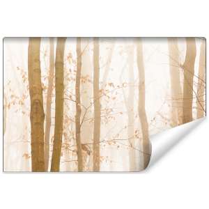 Fototapeta Las we mgle FT-457