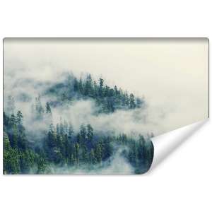 Fototapeta Las we mgle FT-461