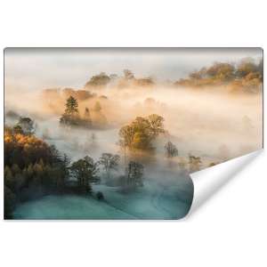 Fototapeta Las we mgle FT-463