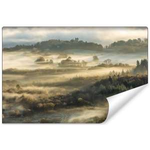 Fototapeta Las we mgle FT-464