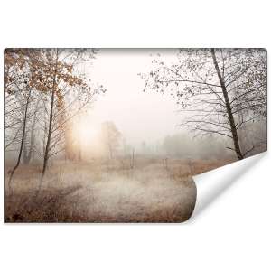 Fototapeta Las we mgle FT-465