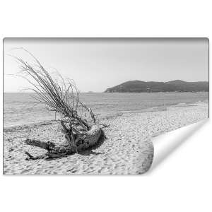 Fototapeta Plaża Morze Piasek