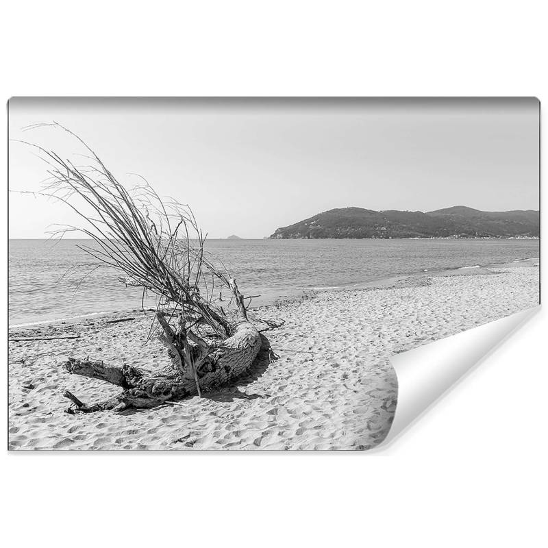 Fototapeta Plaża Morze Piasek