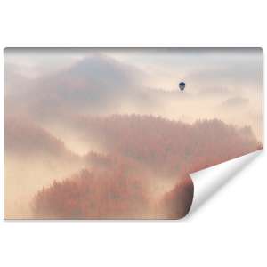 Fototapeta Las we mgle FT-468