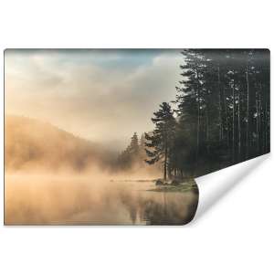 Fototapeta Las we mgle FT-469