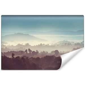 Fototapeta Las we mgle FT-470