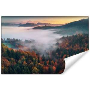 Fototapeta Las we mgle FT-471