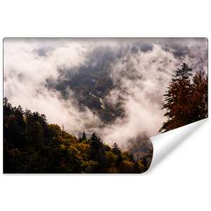 Fototapeta Las we mgle FT-473