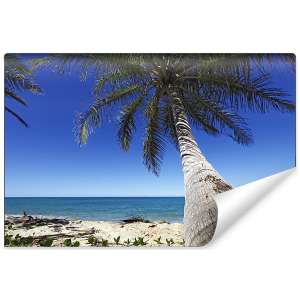 Fototapeta Plaża Ocean...