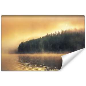 Fototapeta Las we mgle FT-474