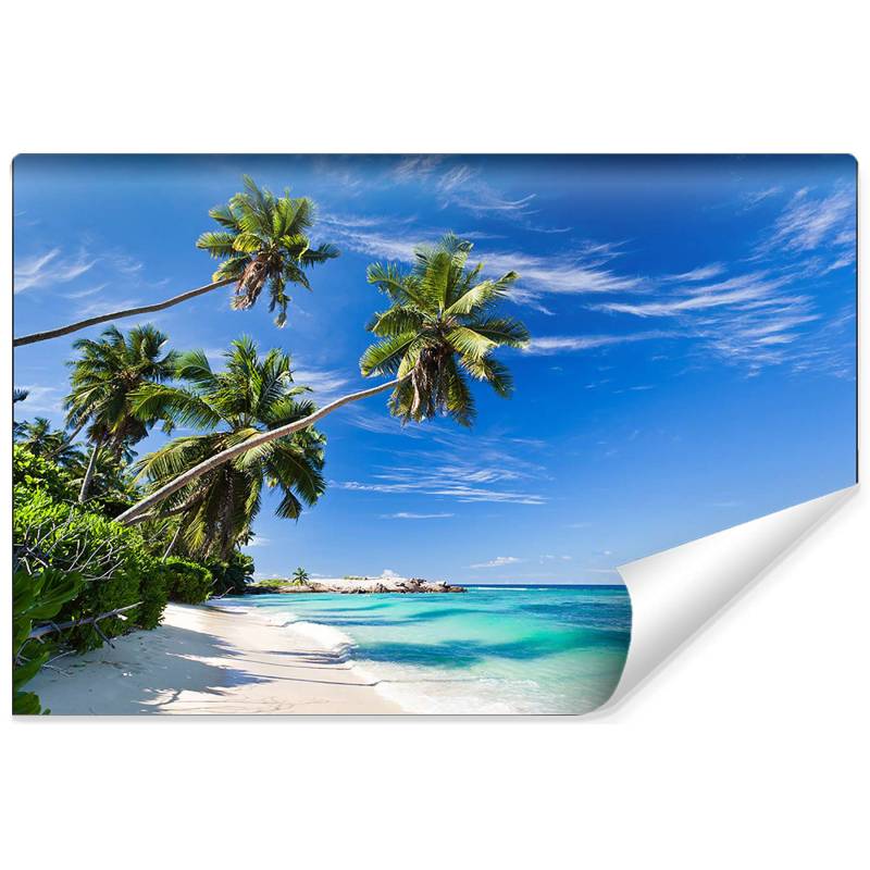 Fototapeta Plaża Ocean Palmy