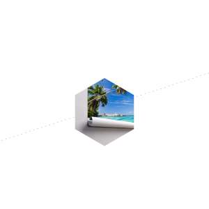 Fototapeta Plaża Ocean Palmy