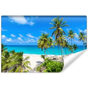 Fototapeta Plaża Ocean Palmy
