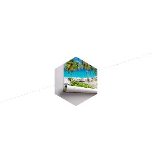 Fototapeta Plaża Ocean Palmy