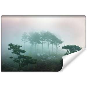 Fototapeta Las we mgle FT-480