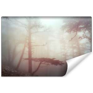 Fototapeta Las we mgle FT-482