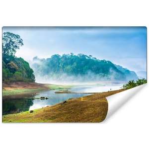 Fototapeta Las we mgle FT-488