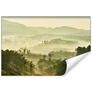 Fototapeta Las we mgle FT-489