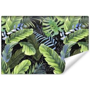 Fototapeta Liście...