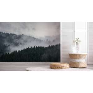 Fototapeta Mglisty Las Sosnowy