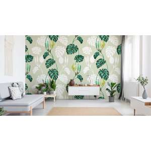 Fototapeta Liście Monstera