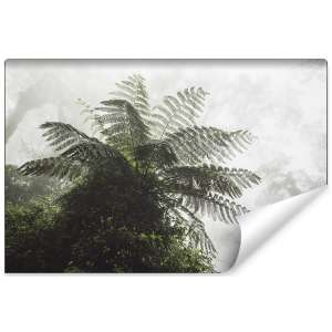 Fototapeta Las we mgle FT-496