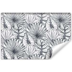 Fototapeta Liście Monstera...