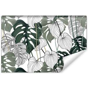 Fototapeta Liście Monstera...